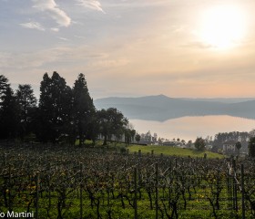 Lago di Viverone