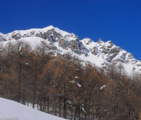 Monte Miracolo 